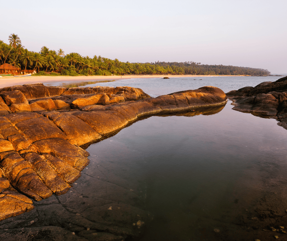  Cherai Beach